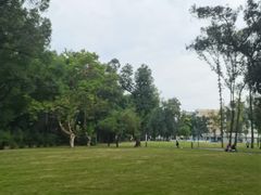 -四川大学(望江校区)