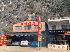 -银峰农庄·特色烧鸡·鲜无花果浸鸡