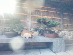 -龙华寺