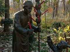 -合肥滨湖国家森林公园