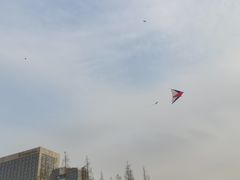 -泉城广场