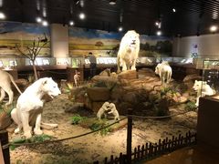 -陕西自然博物馆