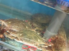 -宾朋海鲜特色美食餐厅·纯手工鲅鱼水饺(兴海路店)