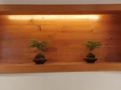 -鸥迪足道(湖南示范店)