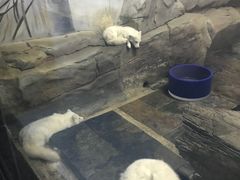 -梦幻海洋王国(吾悦广场张家港店)
