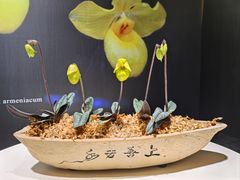 -北京植物园-展览温室