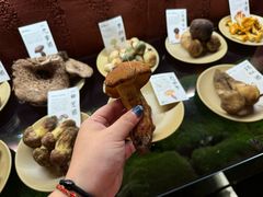 -滇野云南野生菌餐厅(陕西南路店)