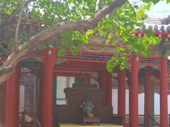 -宫事颐庭·老佛爷贵寿下午茶(颐和园店)