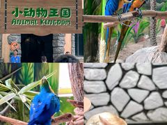 -海合安武汉极地海洋公园