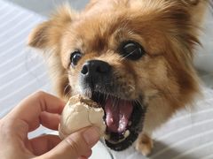 -FAELING PETS美天灵宠物(富力广场店)