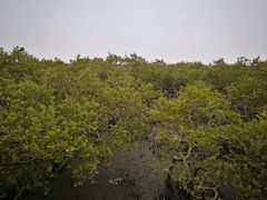 -北海金海湾红树林生态旅游区