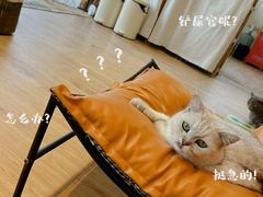 -小时光咖啡馆(开森度假森林店)