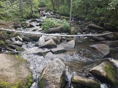 -汤旺河林海奇石景区