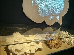 -天津自然博物馆