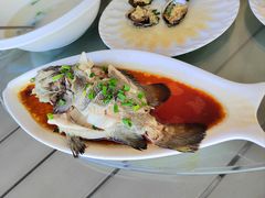 -七鲜渔港美食餐厅(巽寮湾海景店)