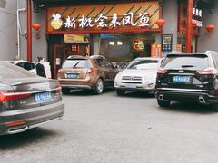 -新概念来凤鱼(璧山店)