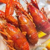 今日份的龙虾海鲜烧烤好吃到停不下来🤩