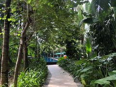 -三亚湾海居铂尔曼度假酒店