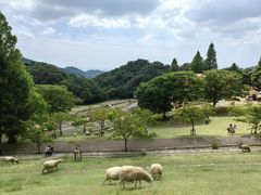 -神户市立六甲山牧场