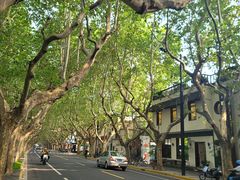 -一尺花园(安和花园店)