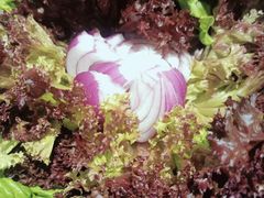 -毛家饭店·30年融合新湘菜(无影山店)