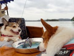 -西湖游船