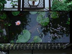 -上海醉白池公园
