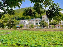 -红山村