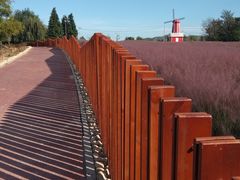 -羊亭河湿地公园