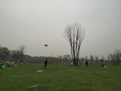 -盘龙城遗址博物院