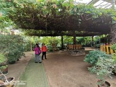 -呀路古热带植物园