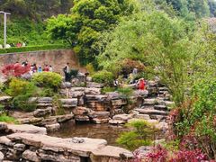 -桃花岭景区