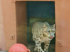 -青藏高原野生动物园