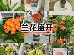 -北京植物园-展览温室