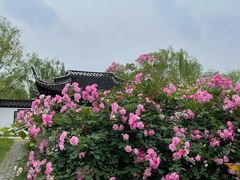 -扬州大运河文化旅游度假区·盆景园