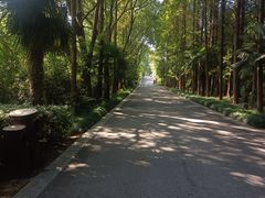 -同里国家湿地公园