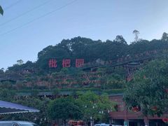 -枇杷园食为鲜火锅(南山店)