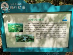 -贡湖湾湿地公园