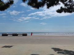 -日照海滨国家森林公园