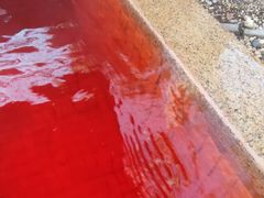 -春晖园度假酒店温泉