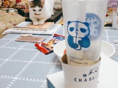 -茶百道(太原茂业天地店)