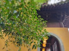 -慧因高丽寺