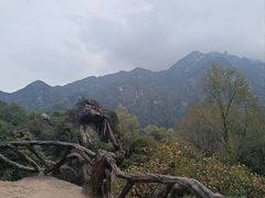 -秦岭终南山世界地质公园翠华山景区