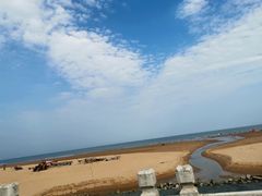 -日照海滨国家森林公园