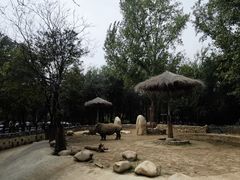 -北京野生动物园