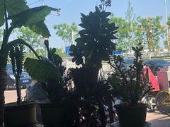 -大家乐东北菜(富河园店)