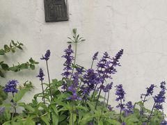 -龍歌自助小火锅(城阳万象汇店)