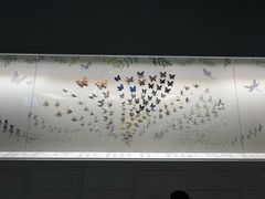 -香港科学馆
