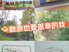 -上海长兴岛郊野公园