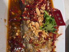 -杨氏青龙虾·羊蝎子(金盛路总店)
